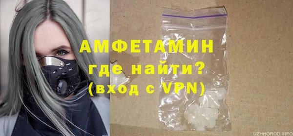 ПСИЛОЦИБИНОВЫЕ ГРИБЫ Абаза