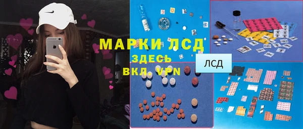 стафф Алзамай