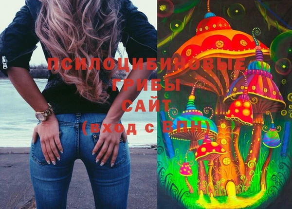 прущая мука Нея