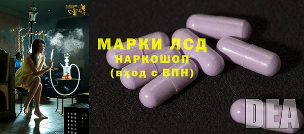 ПСИЛОЦИБИНОВЫЕ ГРИБЫ Абаза