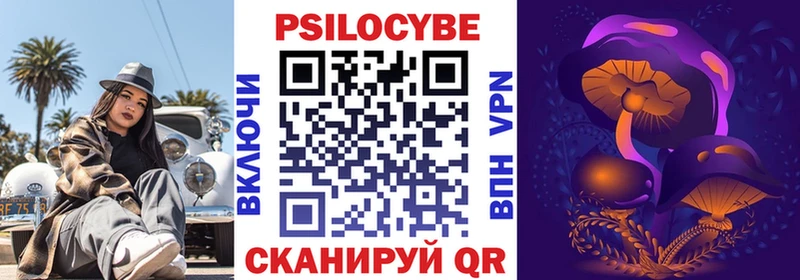 где купить   Моздок  Псилоцибиновые грибы мицелий 