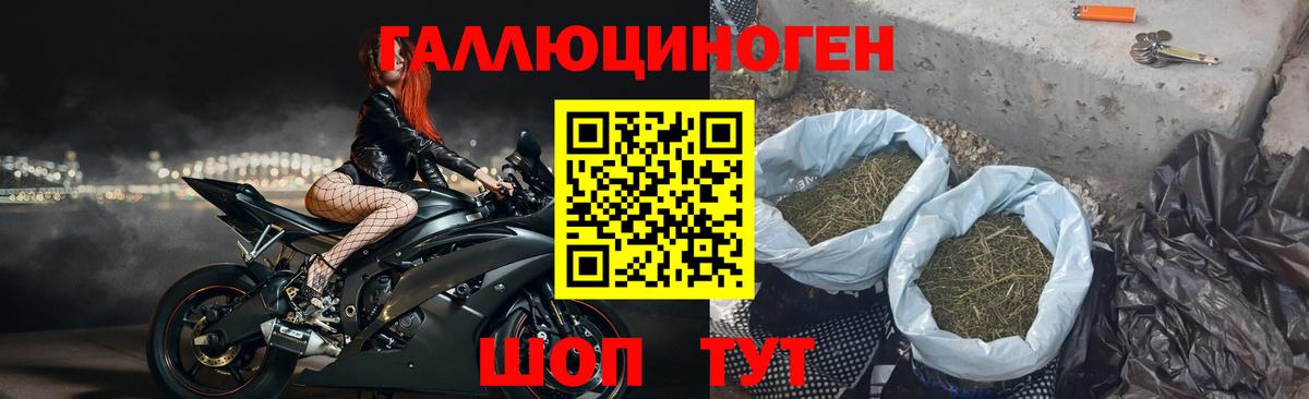 Галлюциногенные грибы прущие грибы Моздок