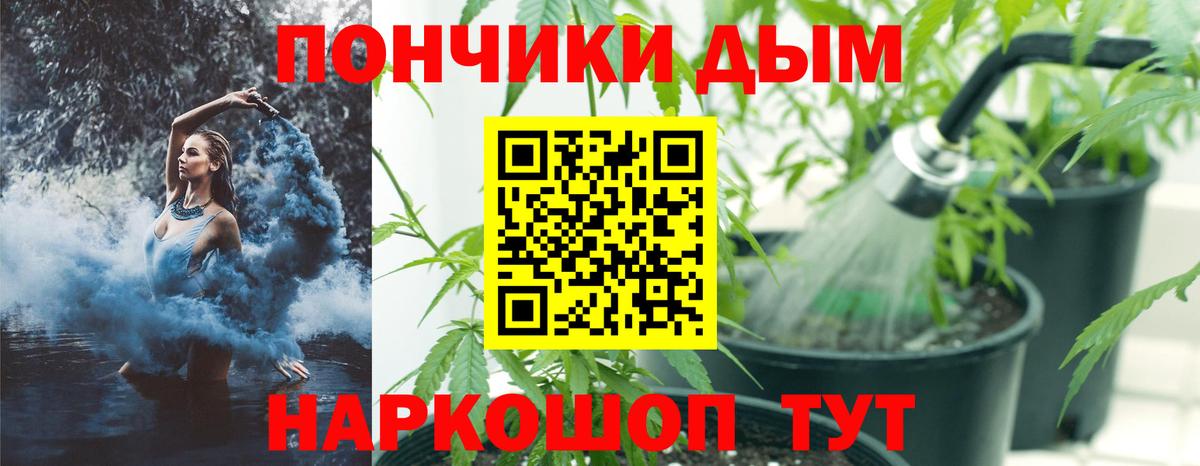 Марихуана VHQ  Конопля VHQ  Моздок  Вход с VPN  Бошки Шишки Bruce Banner 